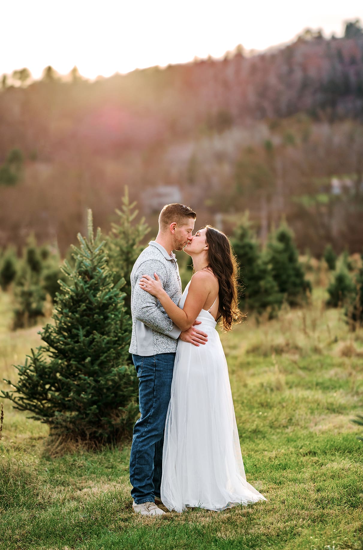 Engaged couple kisses in christmas tree farm field at Sipples Farm in Bainbridge NY