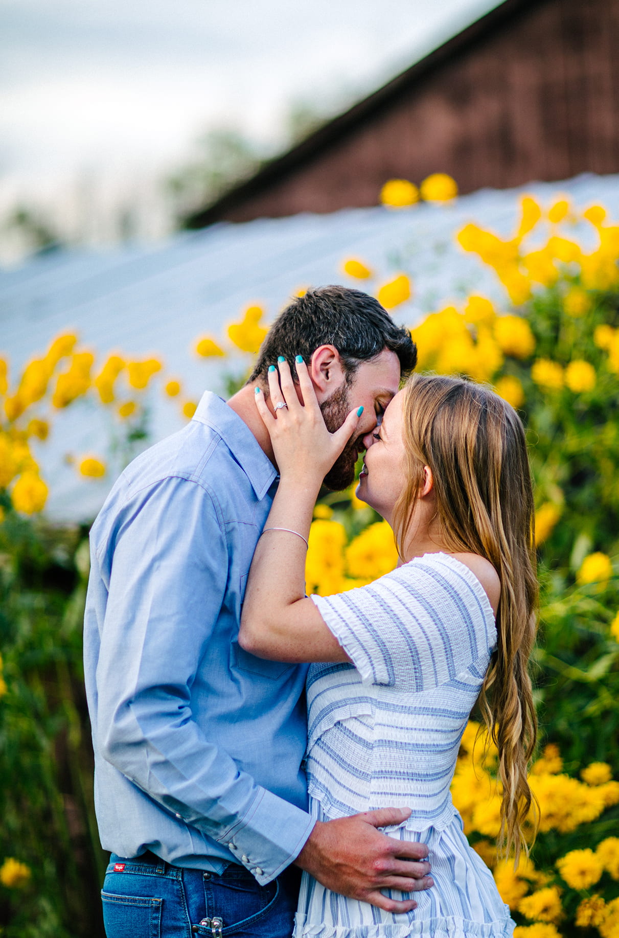 Couple kisses in front of yellow flowers during sunset in Albany NY