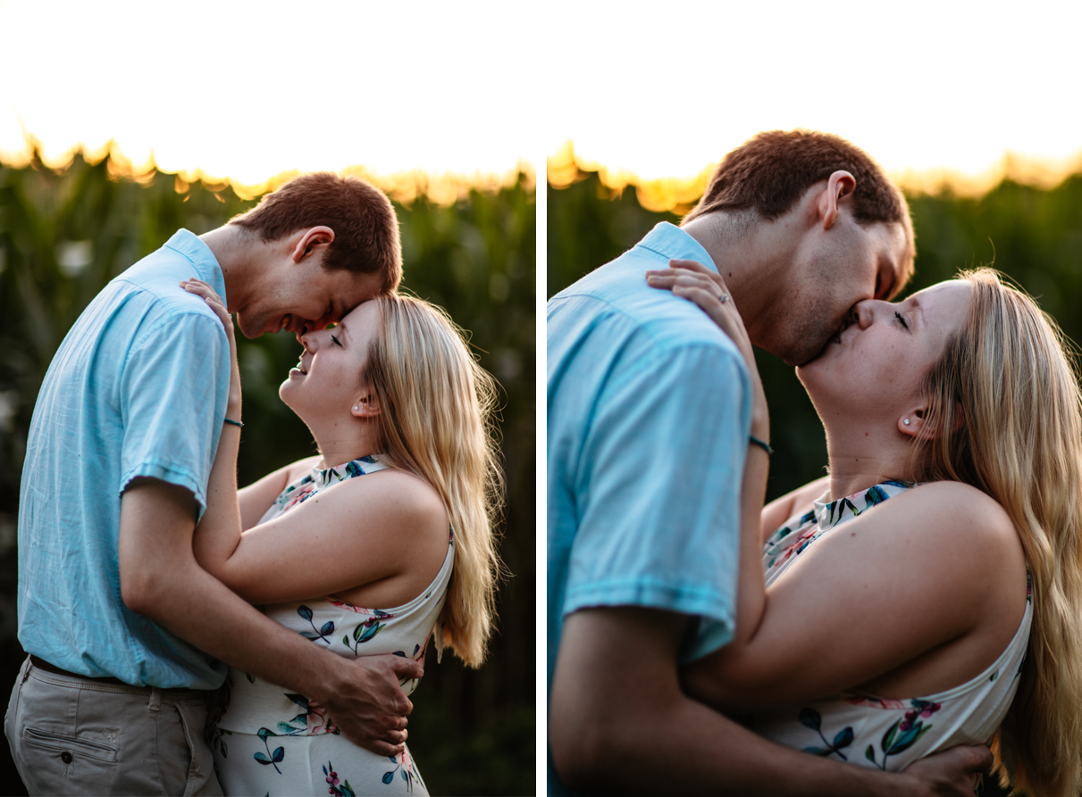 Couple kiss in front of cornfield during sunset engagement session