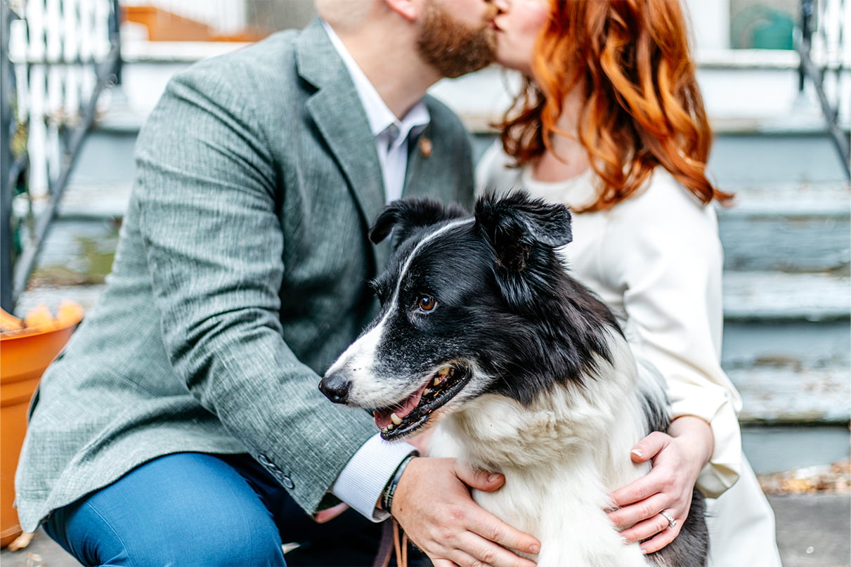 Portrait of lack and white border collie dog with owners kissing in the background