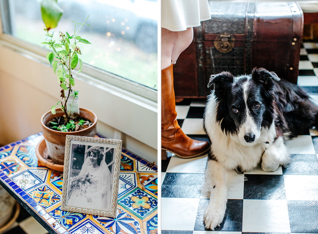 border collie lies on checkered floor and black and white photo in frame