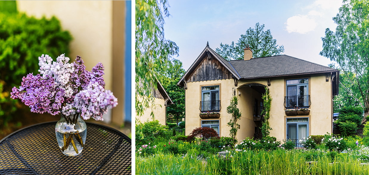 french style manor with cut lavender in vase