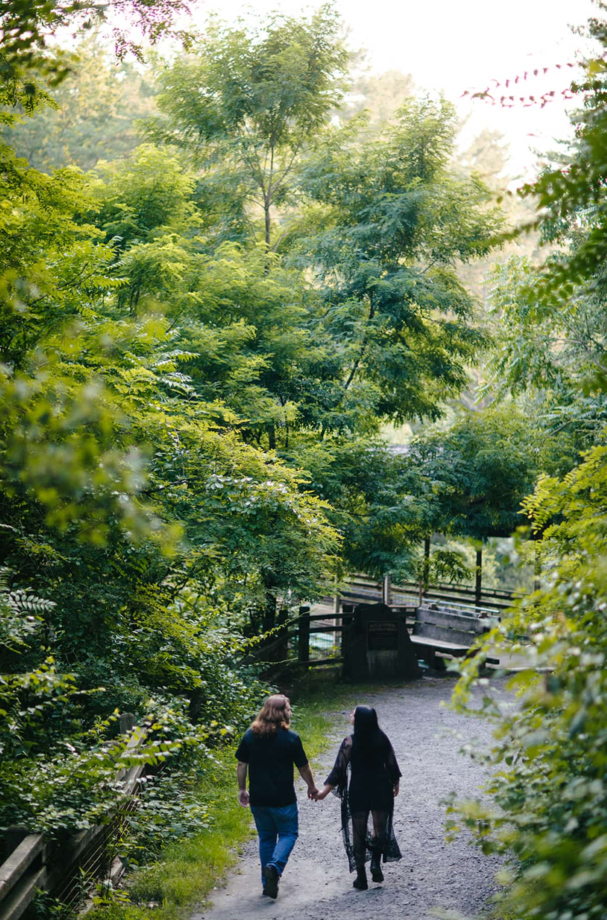 Couple holds hands and walks down path in Scranton PA