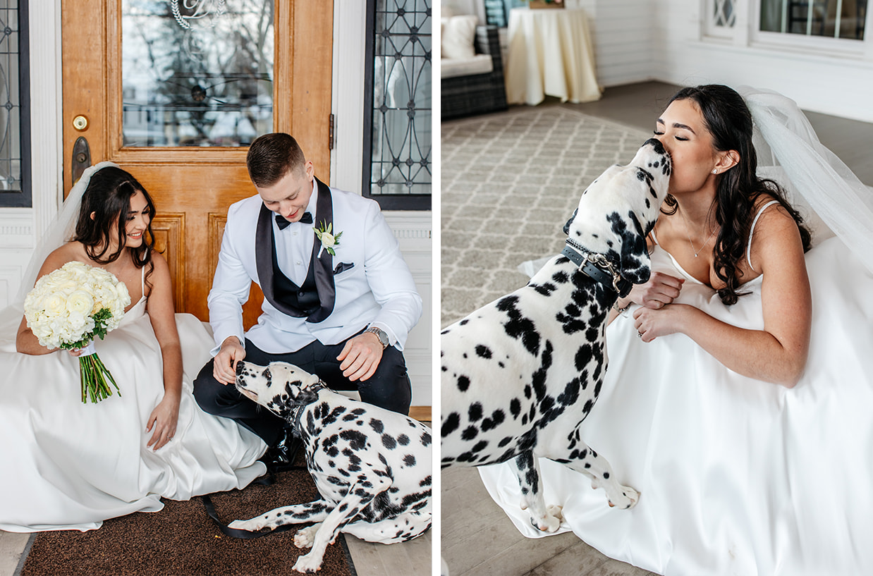 Bride and Groom get kisses from their Dalmatian on their wedding day in Vernon NY
